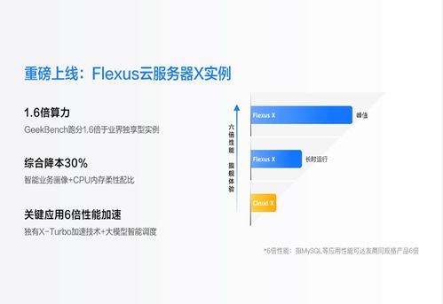 精准优化企业管理 华为云 Flexus X 实例在 828 的革新应用